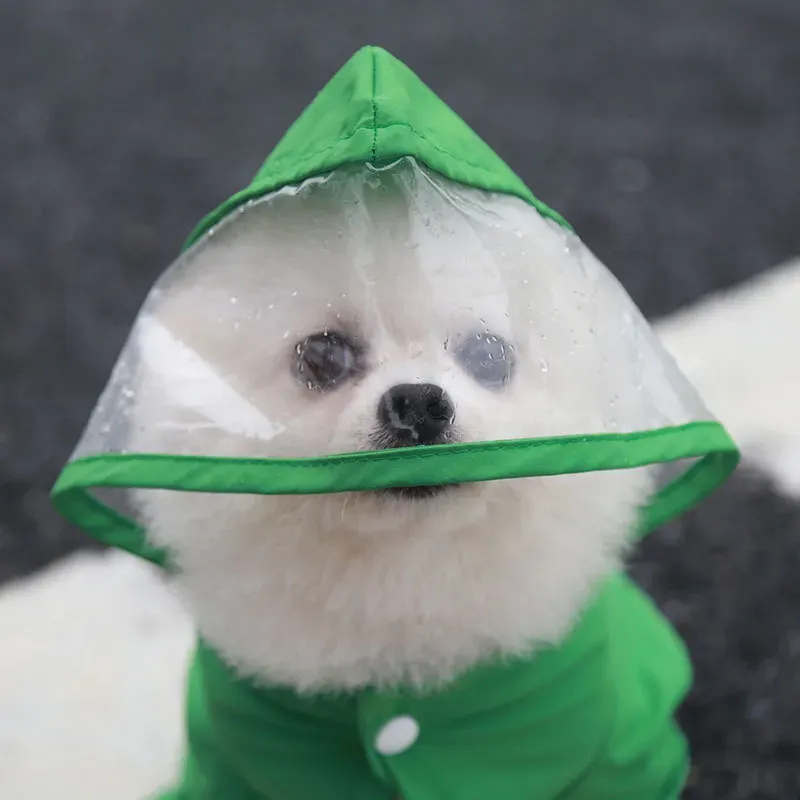 2025 Spedizione gratuita Pet t - Winter Clothing Brand Names recensione e prezzo