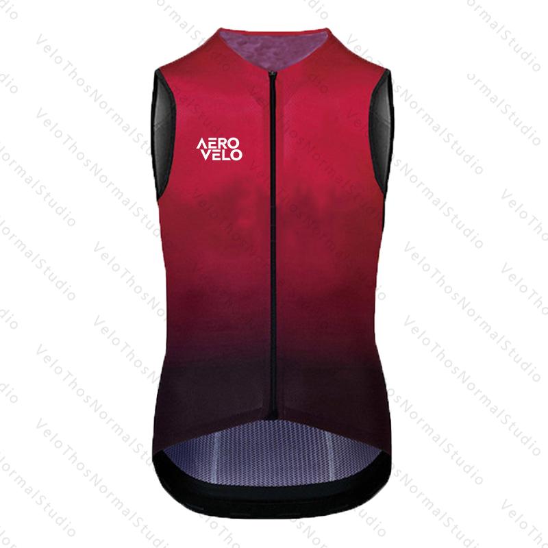 Gilet da Ciclismo AERO 2026 An - Padded Vest Gilet recensione e prezzo